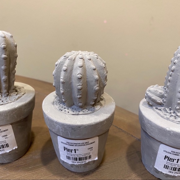 ❌SOLD❌ Pier 1 Imports | Set of 3 Mini Cactus Decor 🌵 - Picture 4 of 7